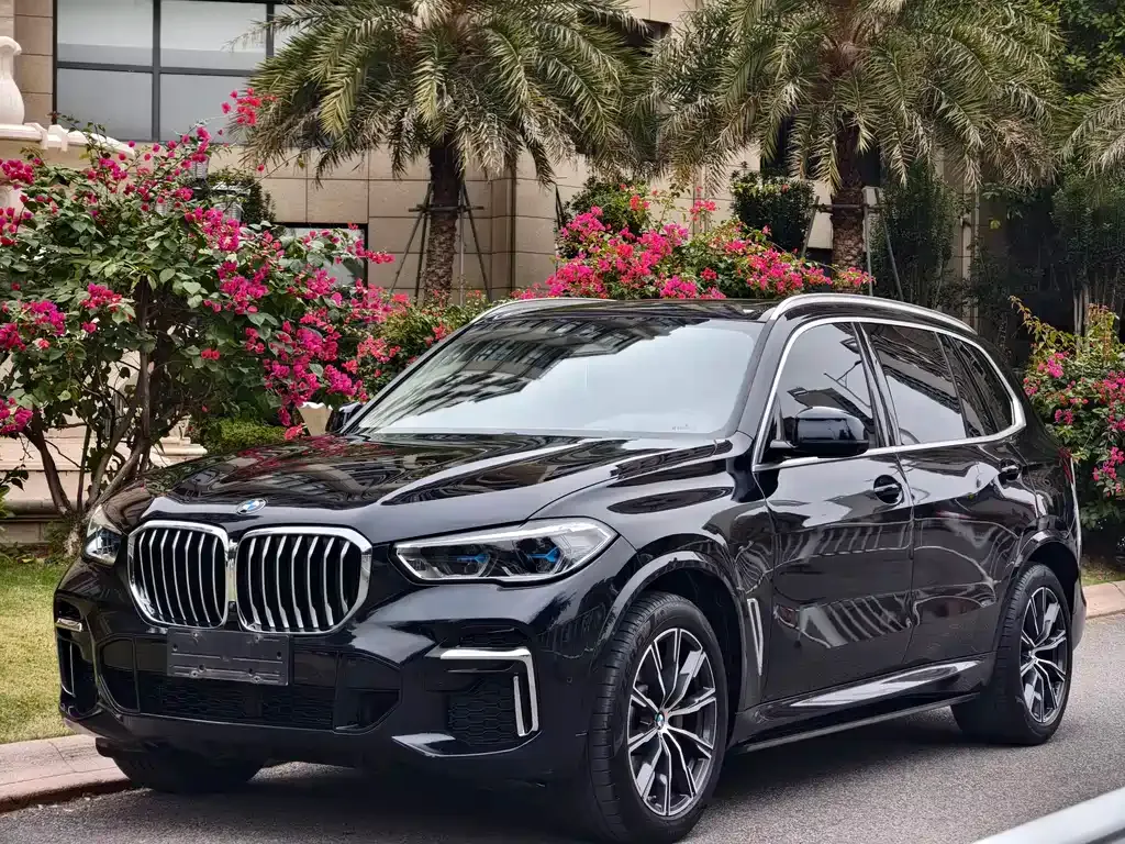 BMW X5 — фото 1