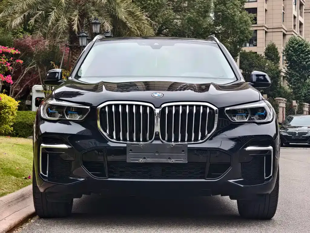 BMW X5 — фото 8