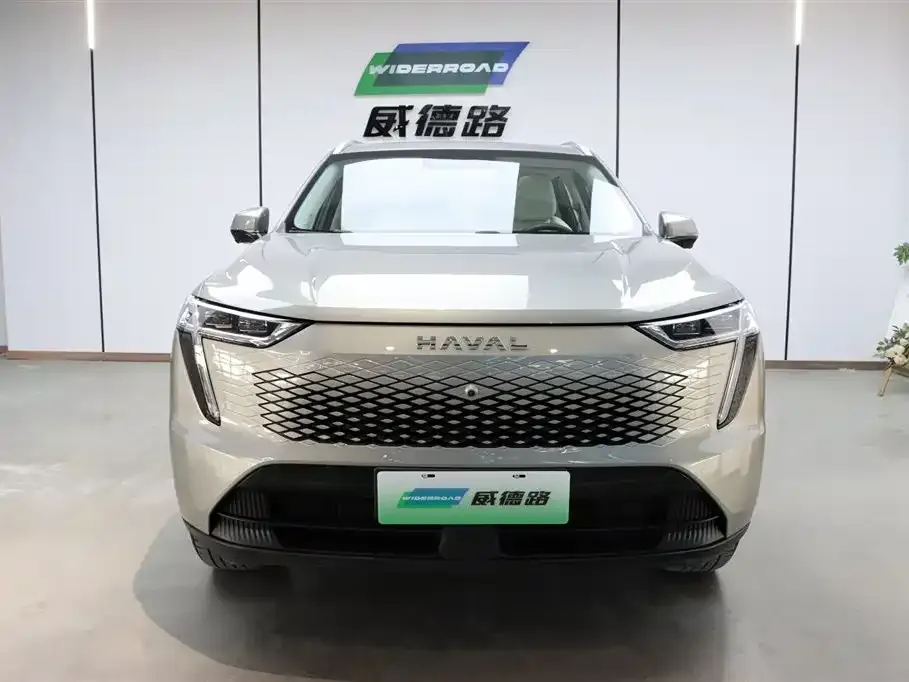 Haval Xiaolong MAX — фото 10