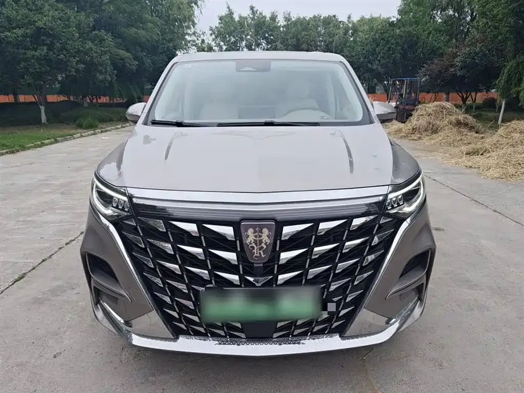 Roewe iMAX8 New Energy 2024 из CN, фото 6