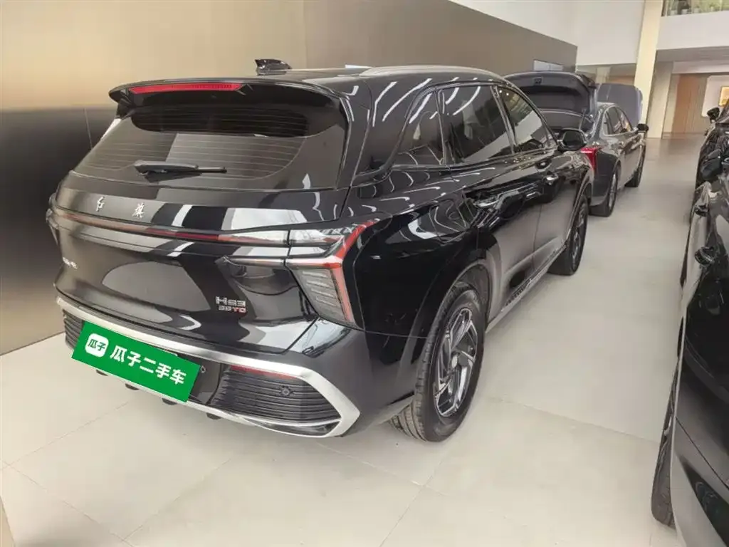 Hongqi HS3 2024 из CN, фото 10