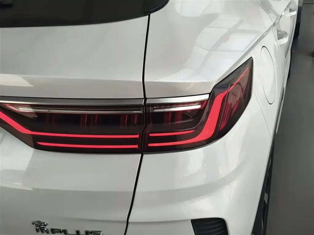 BYD PLUS New Energy — фото 4