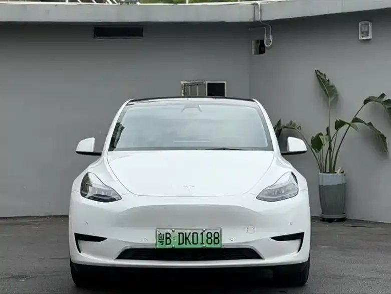 Tesla Model Y — фото 6