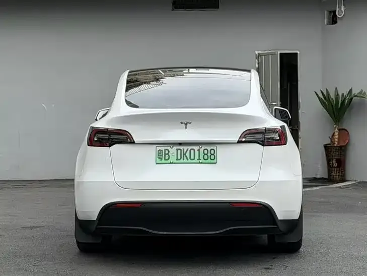Tesla Model Y — фото 3