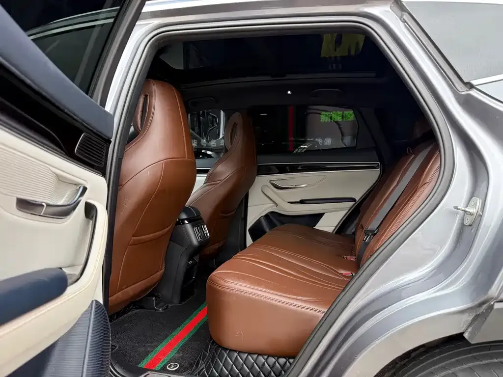 BYD PLUS New Energy 2023 из CN, фото 8