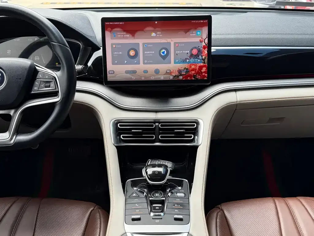 BYD PLUS New Energy 2023 из CN, фото 7