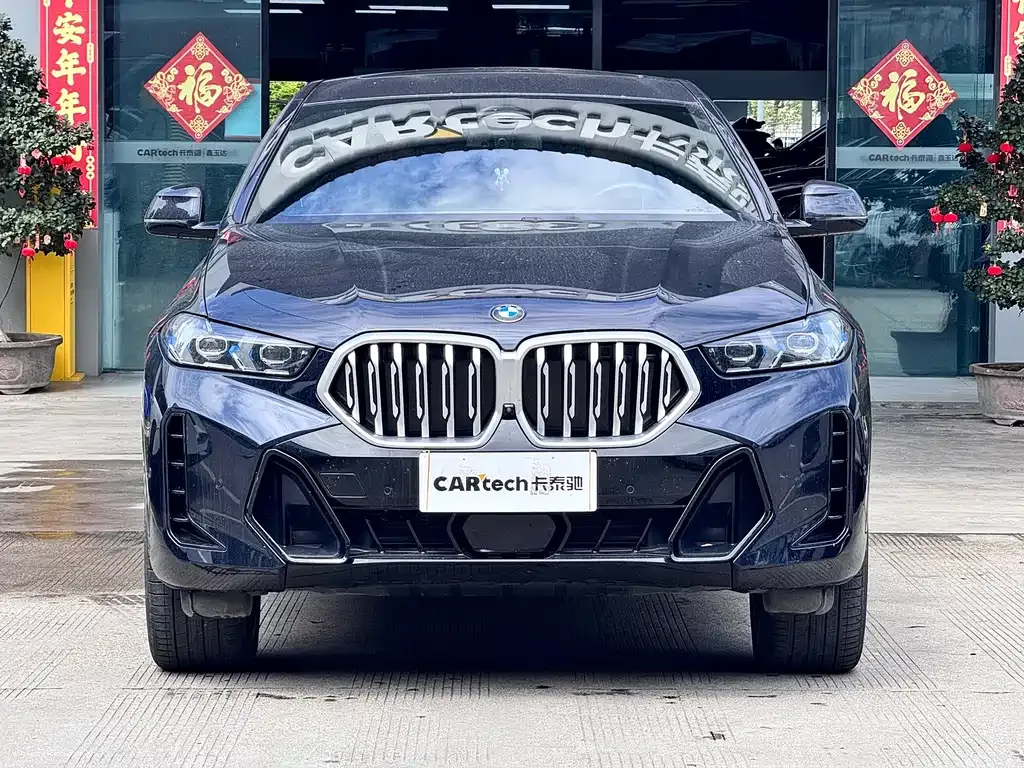 BMW X6 — фото 6