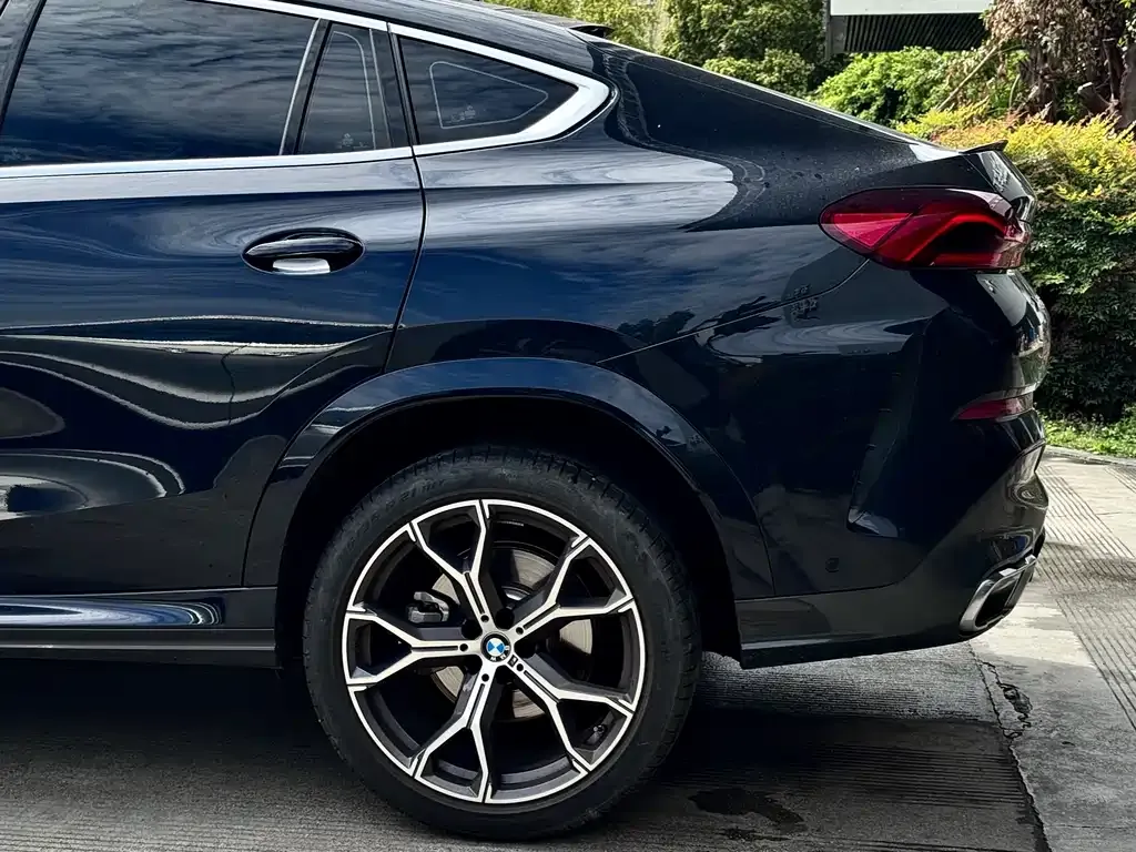 BMW X6 — фото 8