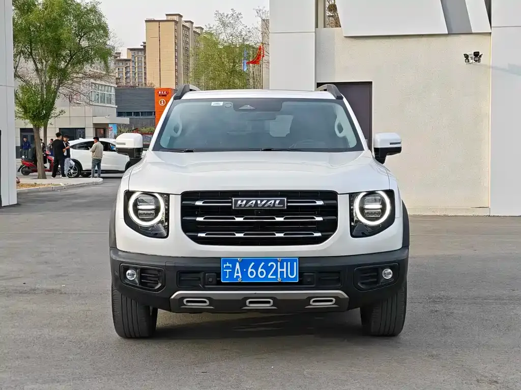 Haval Big Dog 2023 из CN, фото 7