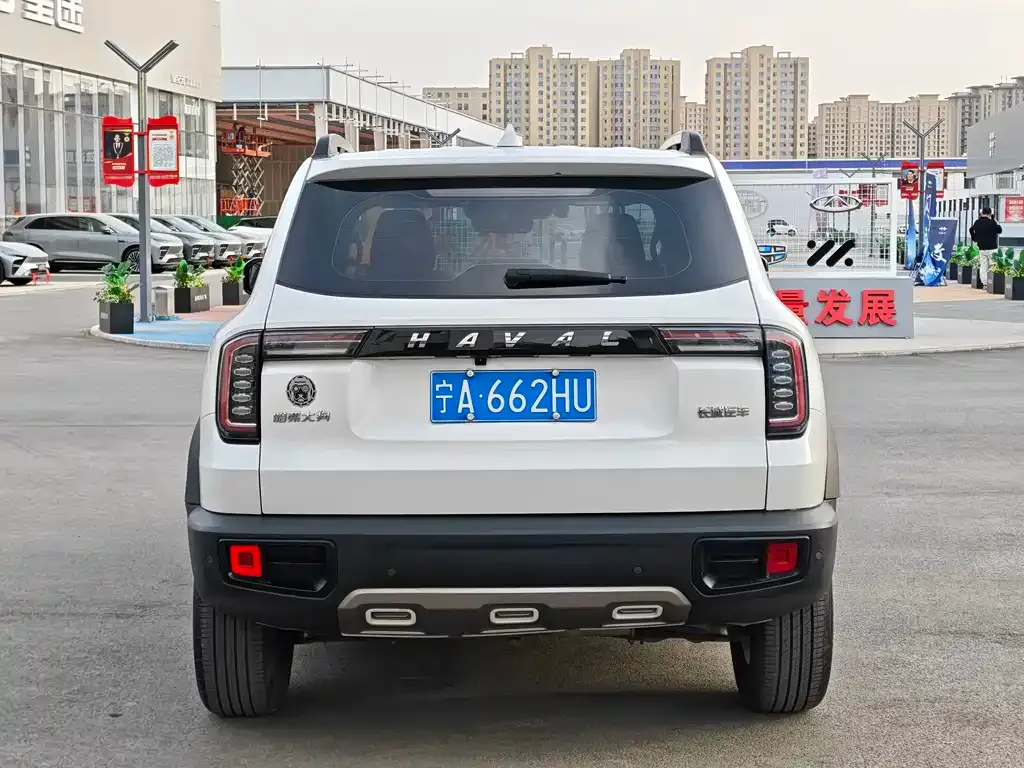 Haval Big Dog 2023 из CN, фото 6