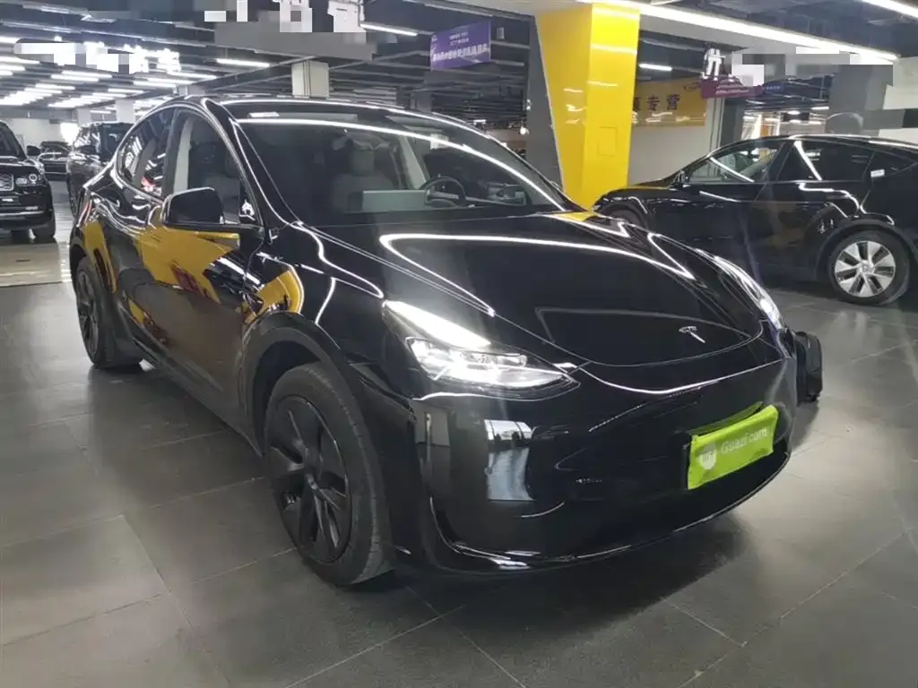 Tesla Model Y — фото 10