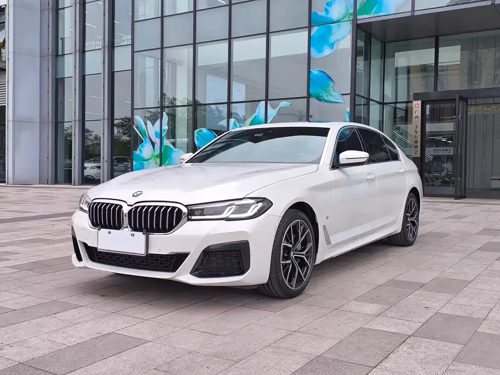 BMW 5 Series 2022 из CN, фото 1