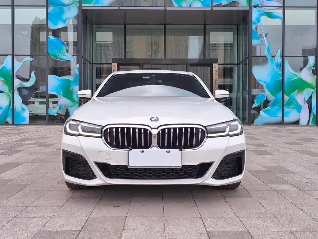 BMW 5 Series 2022 из CN, фото 4