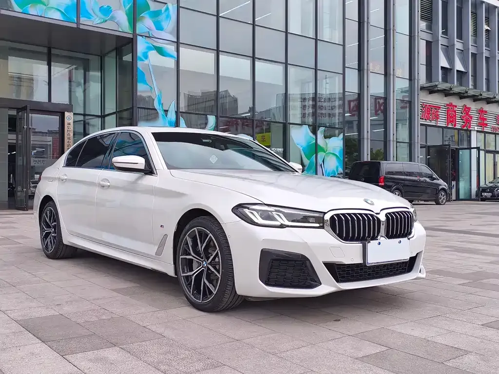 BMW 5 Series 2022 из CN, фото 7