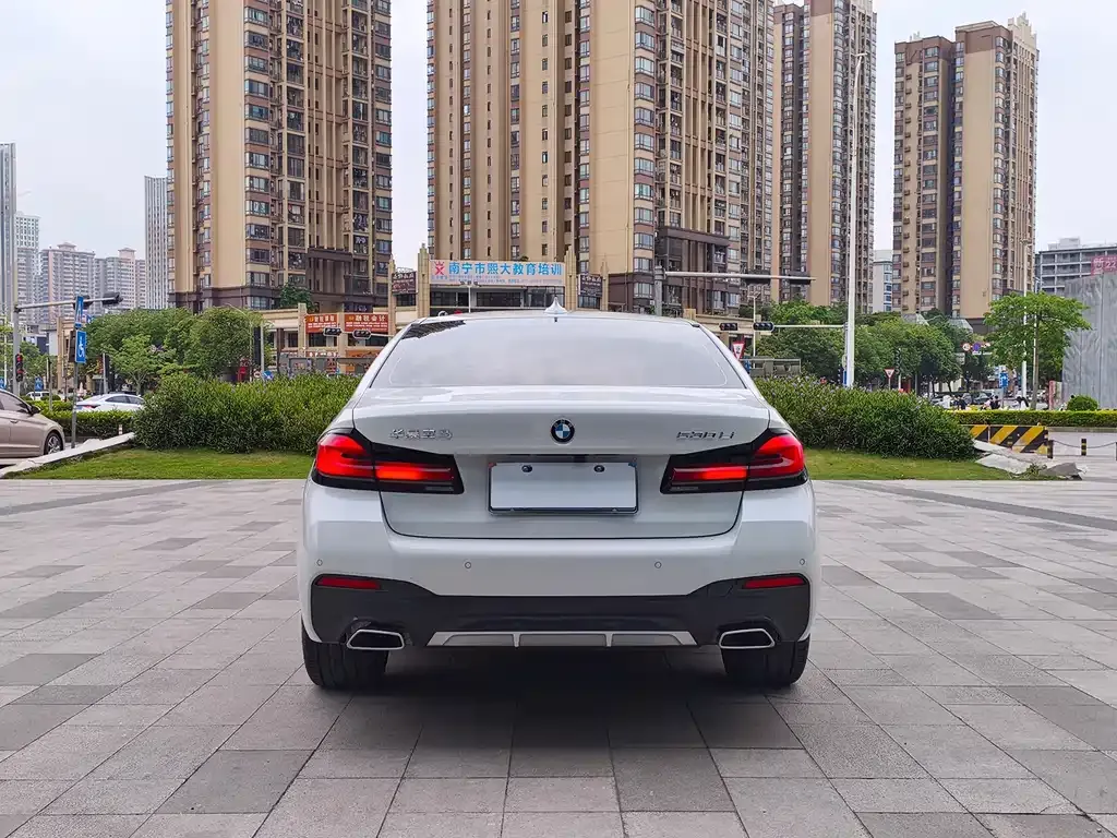 BMW 5 Series 2022 из CN, фото 9
