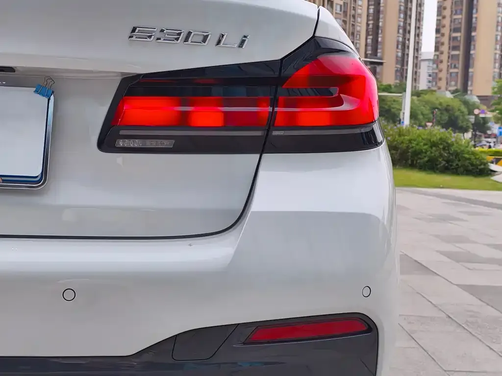 BMW 5 Series 2022 из CN, фото 2