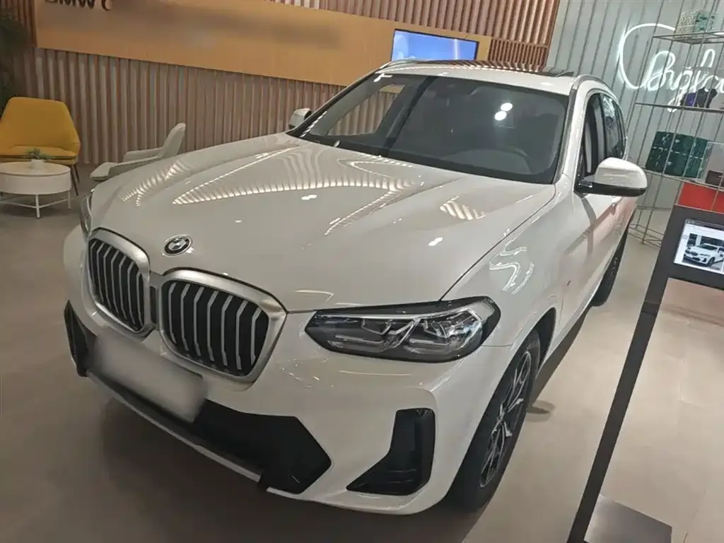 BMW X3 — фото 1