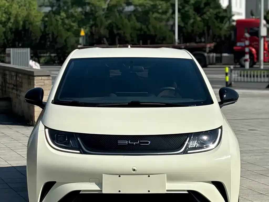 BYD Dolphin 2024 из CN, фото 8