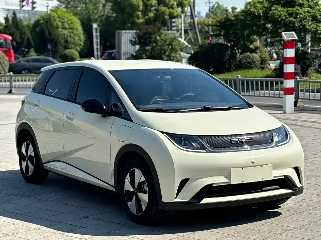 BYD Dolphin 2024 из CN, фото 2