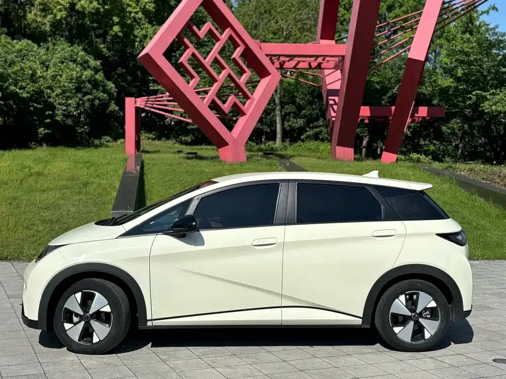 BYD Dolphin 2024 из CN, фото 9