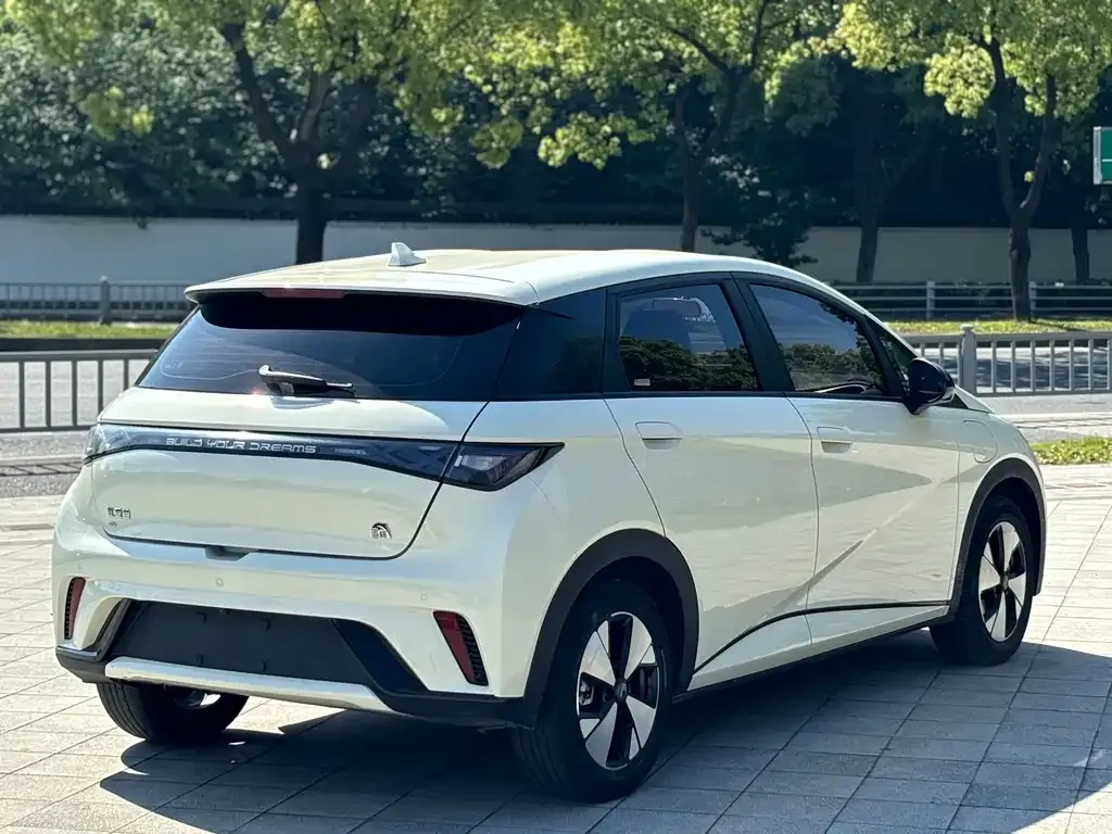 BYD Dolphin 2024 из CN, фото 6