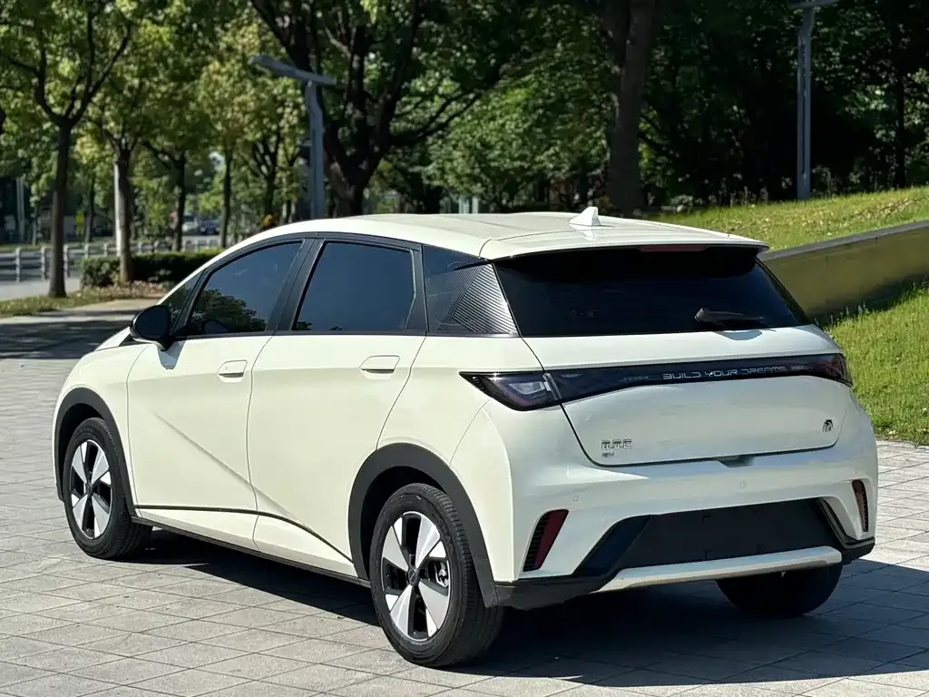BYD Dolphin 2024 из CN, фото 10