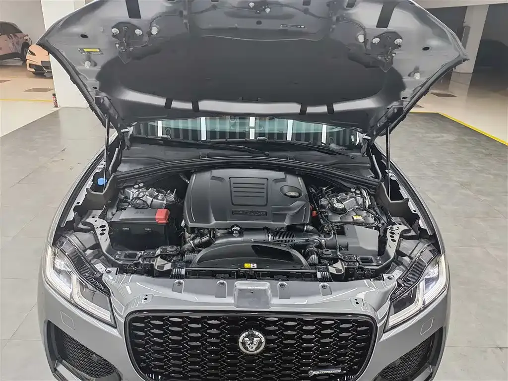 Jaguar F-PACE — фото 10