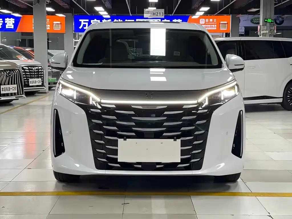 BYD Xia 2025 из CN, фото 5