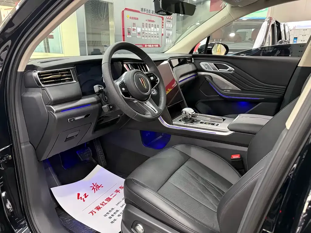 Hongqi HS7 PHEV 2025 из CN, фото 9