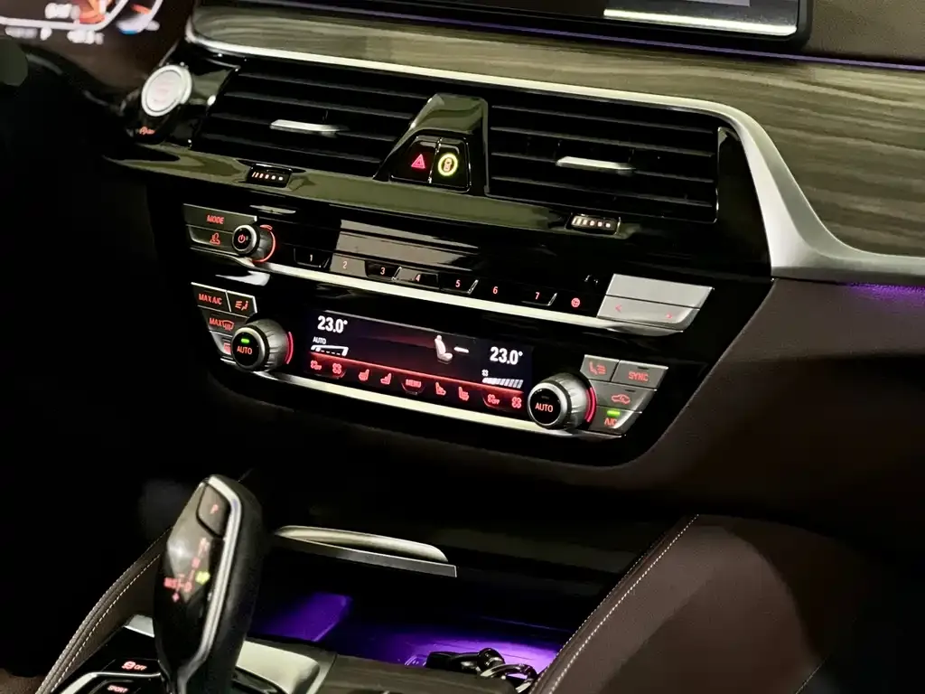 BMW 5 Series 2021 из CN, фото 3