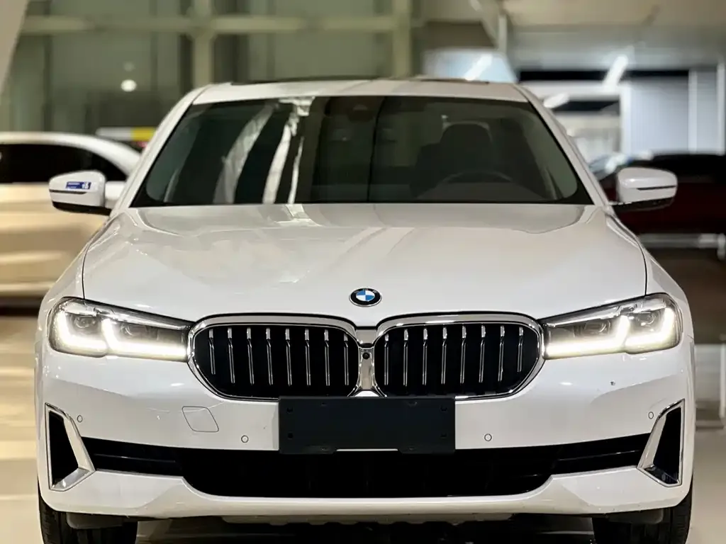 BMW 5 Series 2021 из CN, фото 2