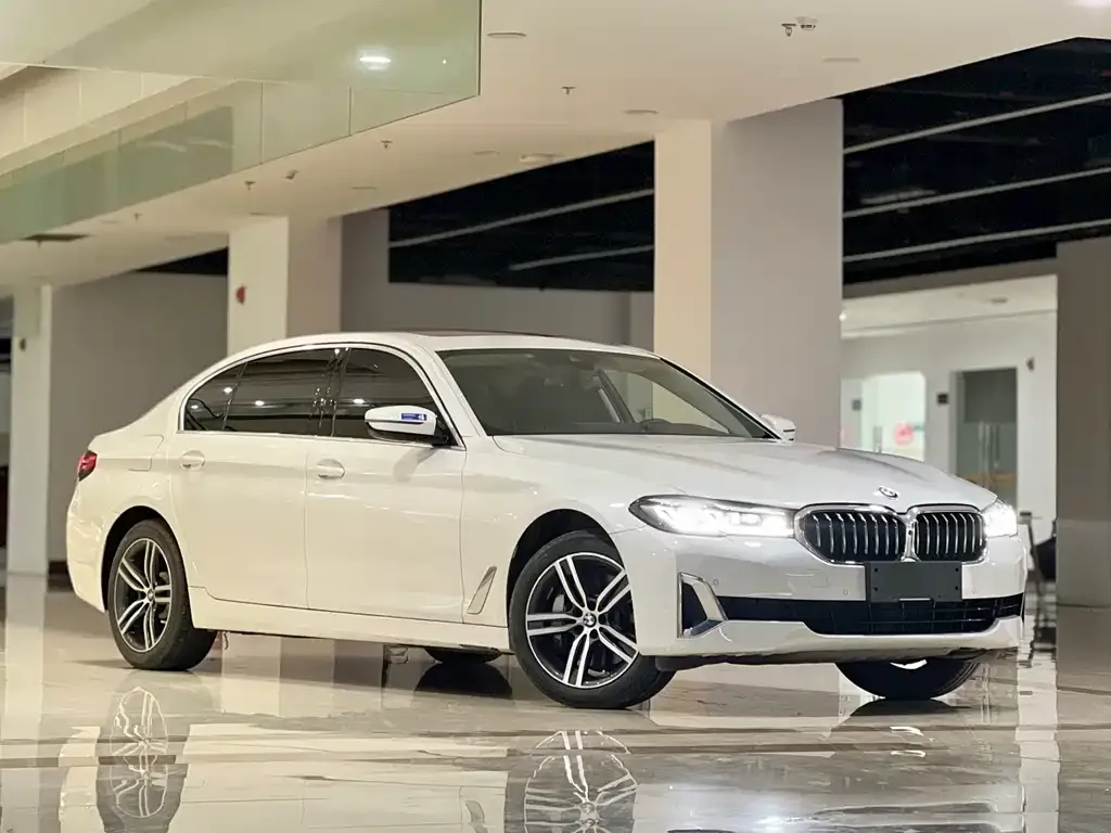 BMW 5 Series 2021 из CN, фото 5