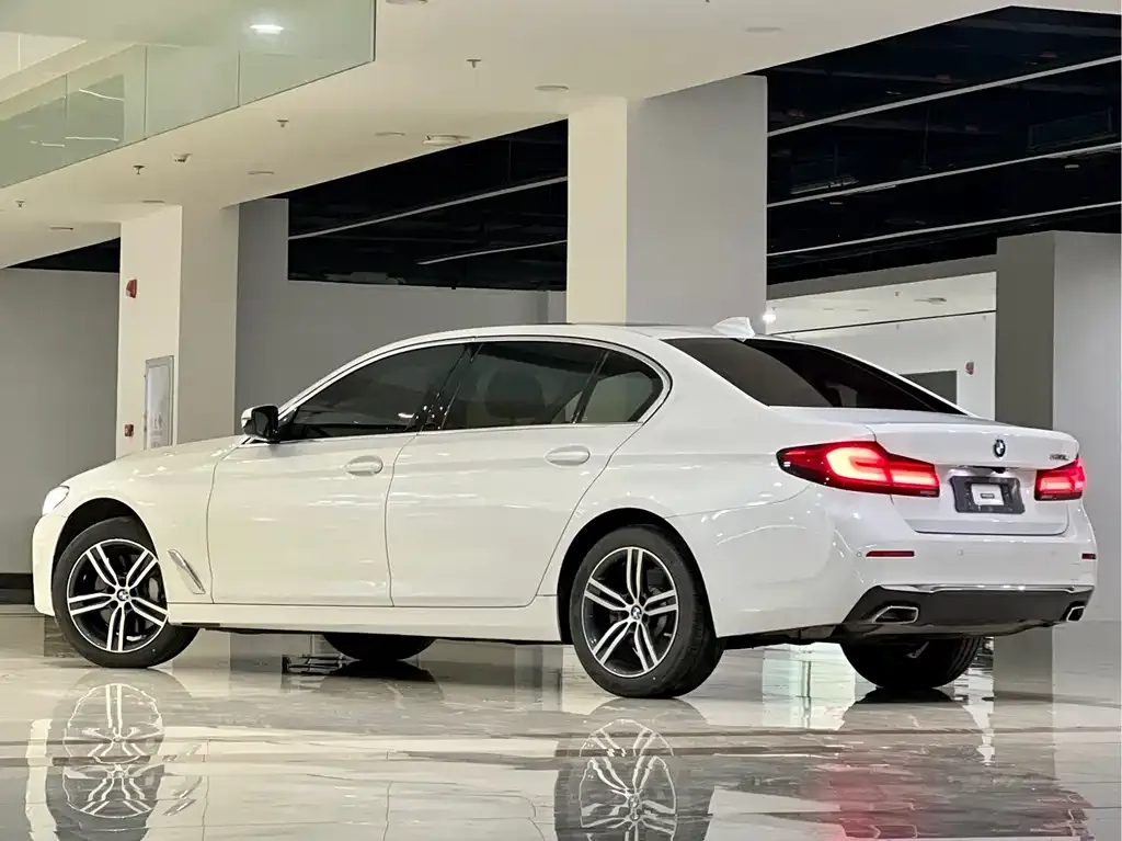 BMW 5 Series 2021 из CN, фото 8
