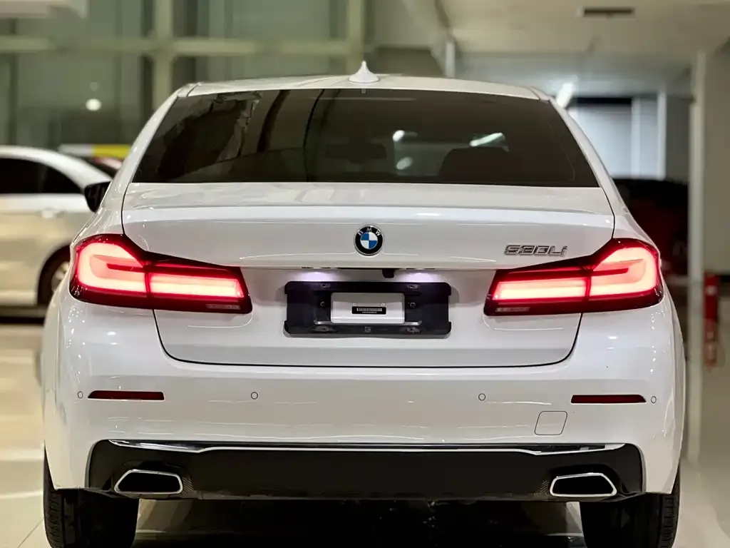 BMW 5 Series 2021 из CN, фото 4