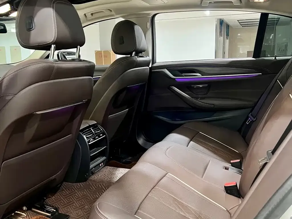 BMW 5 Series 2021 из CN, фото 10