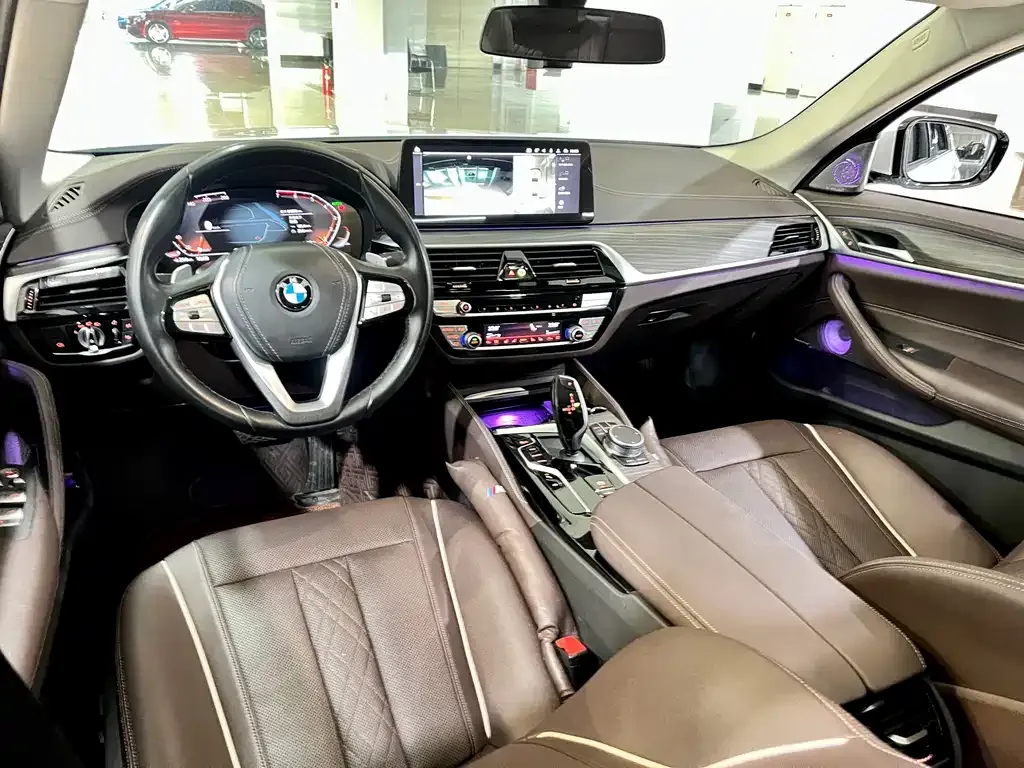 BMW 5 Series 2021 из CN, фото 6