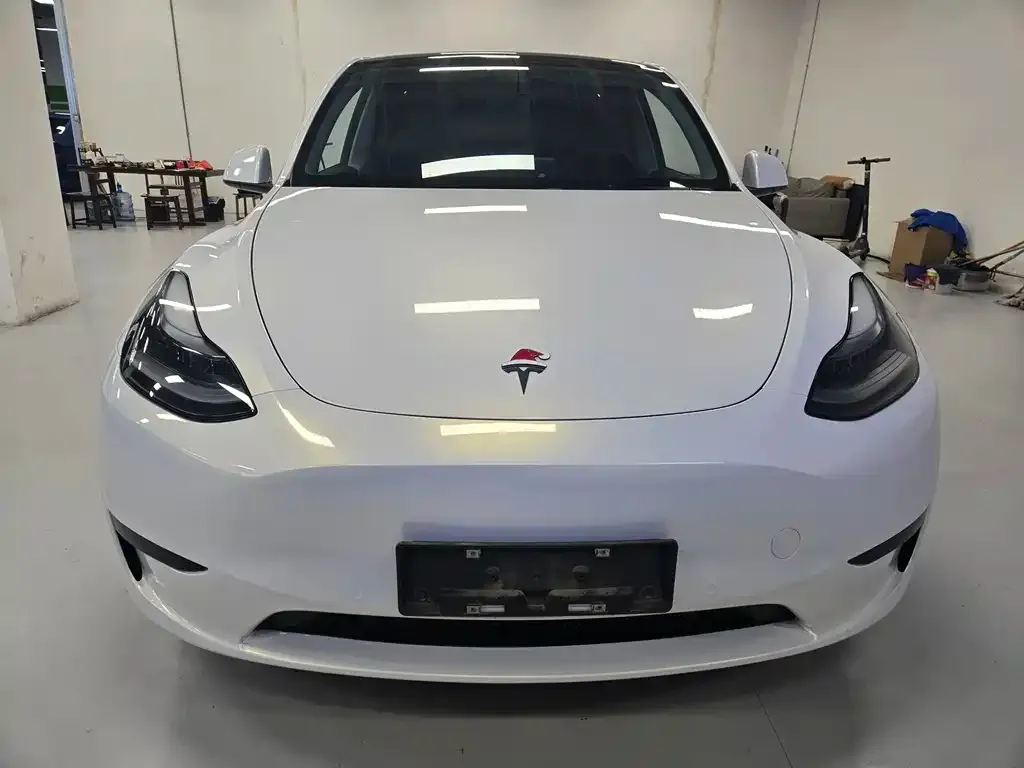 Tesla Model Y — фото 10