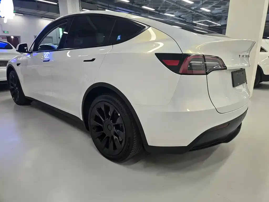 Tesla Model Y — фото 9