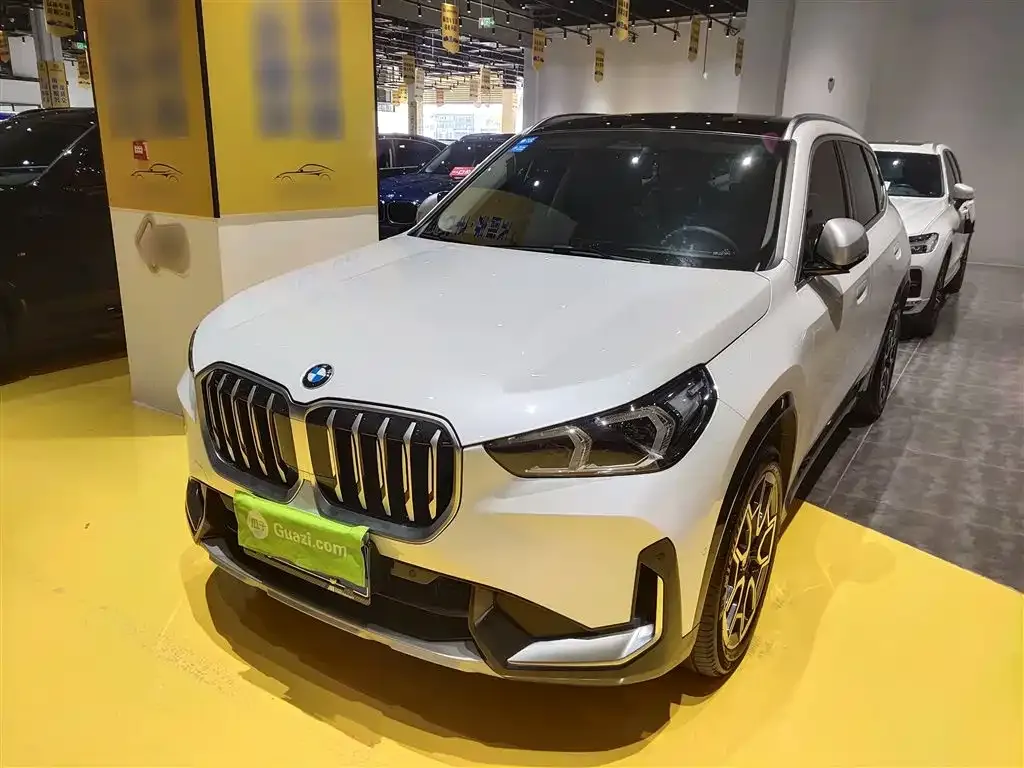 BMW X1 — фото 1