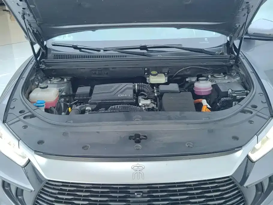 BYD Pro New Energy — фото 7