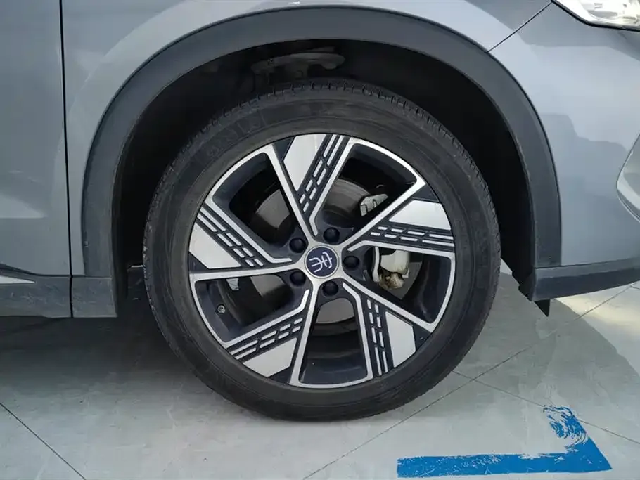 BYD Pro New Energy — фото 2