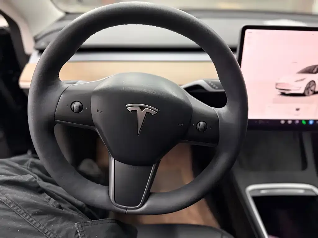 Tesla Model 3 2023 из CN, фото 2