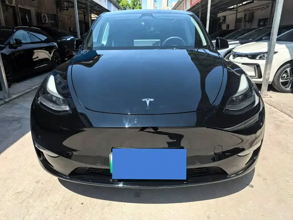 Tesla Model Y — фото 10