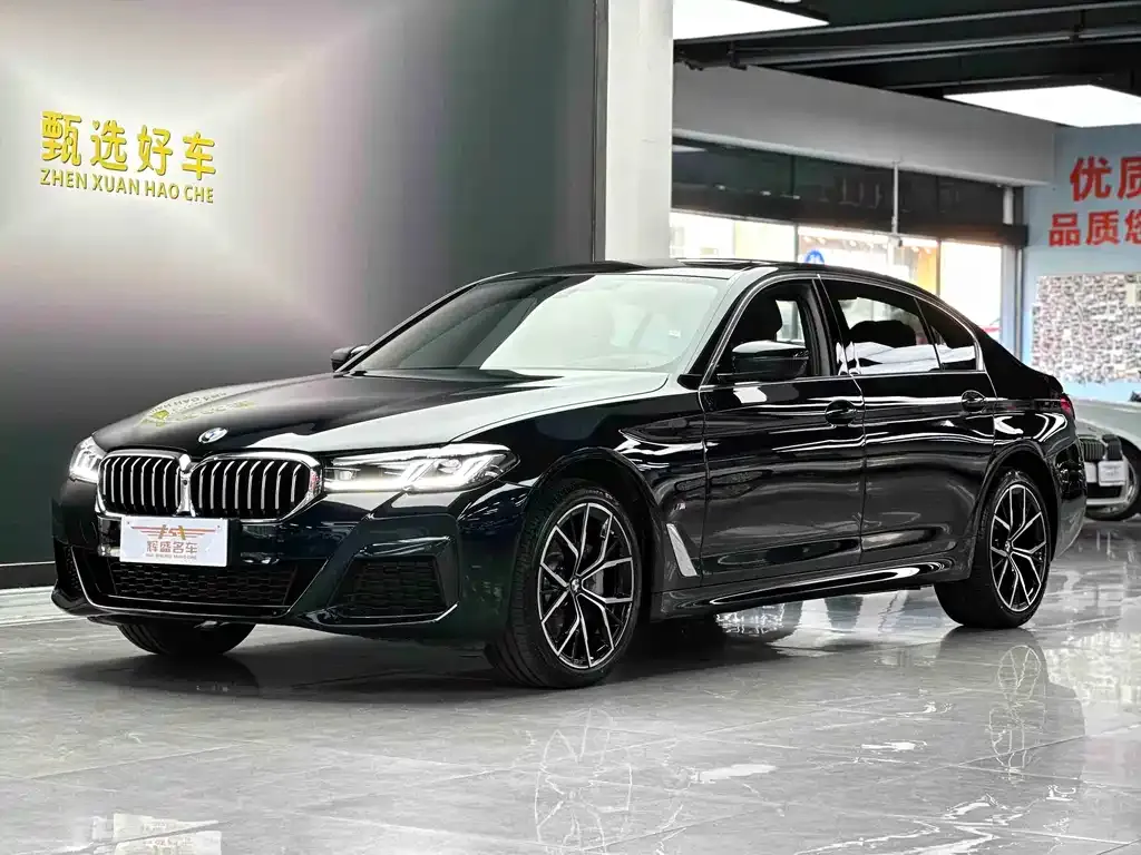 BMW 5 Series 2023 из CN, фото 1