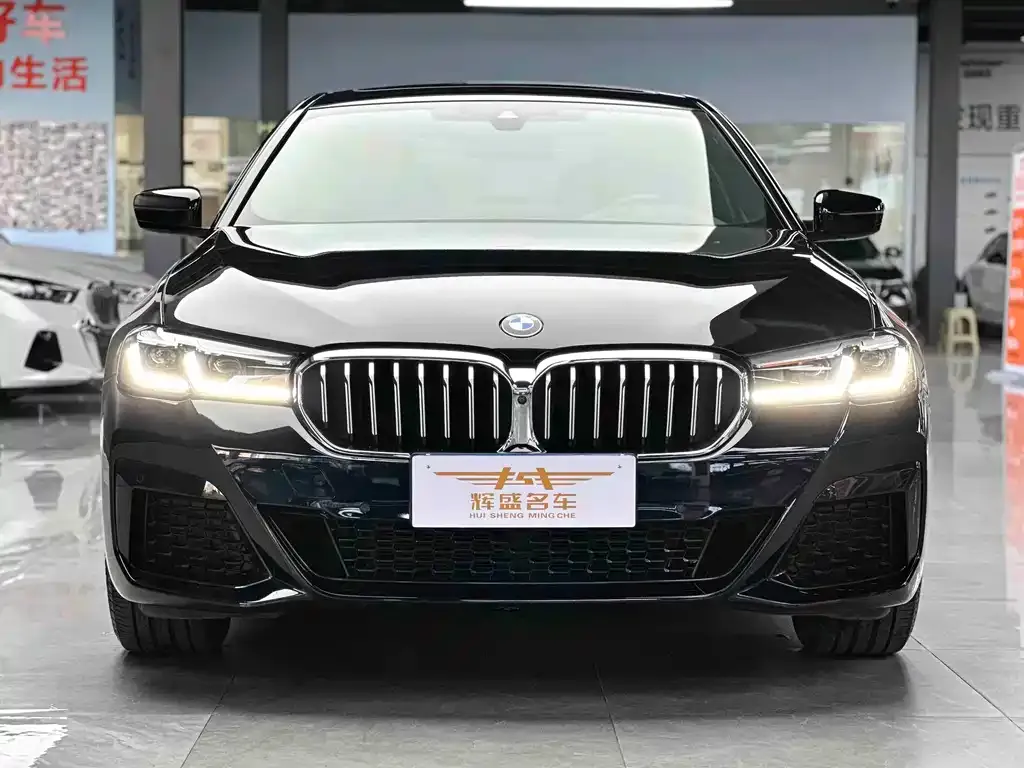 BMW 5 Series 2023 из CN, фото 2