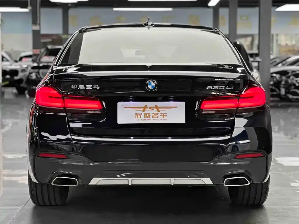 BMW 5 Series 2023 из CN, фото 8