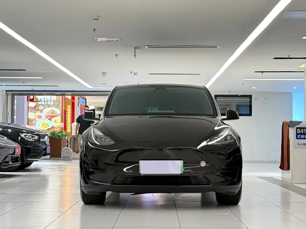 Tesla Model Y — фото 6
