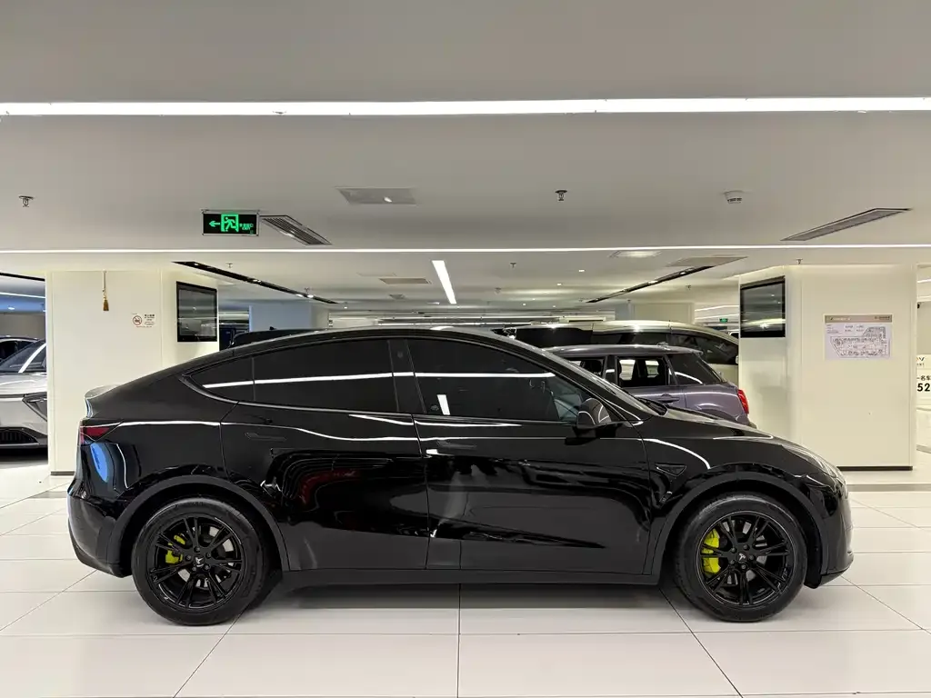 Tesla Model Y — фото 2