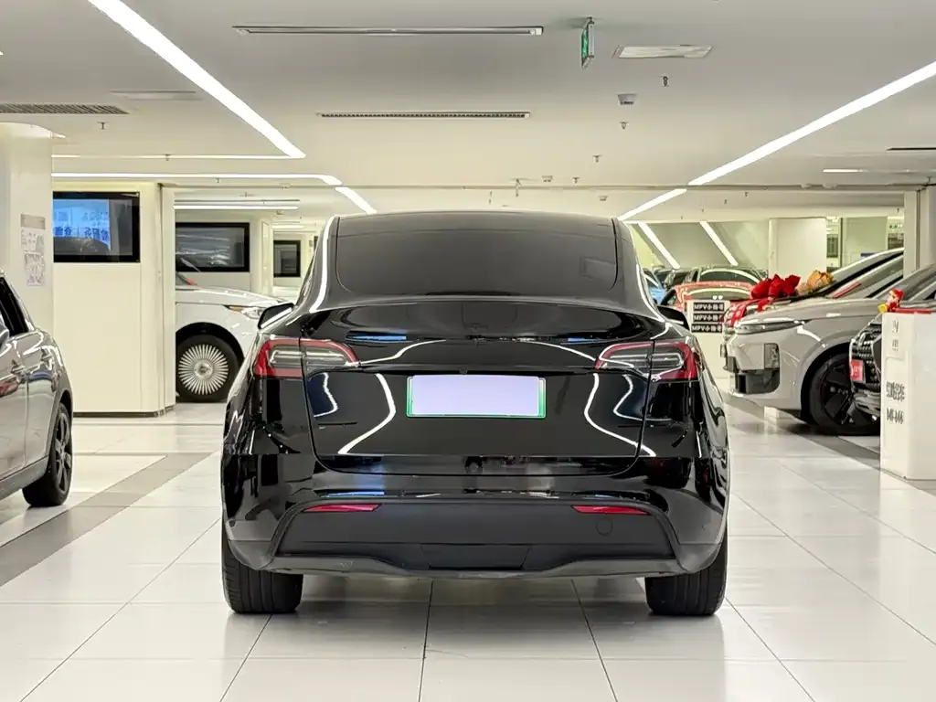 Tesla Model Y — фото 9