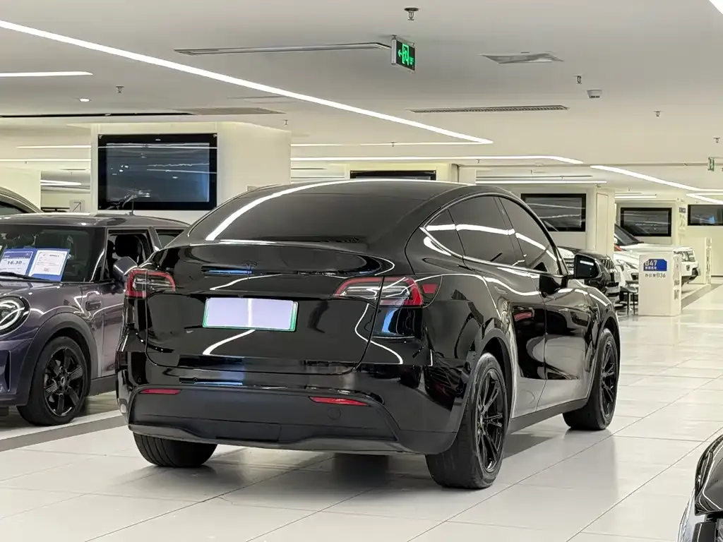 Tesla Model Y — фото 8